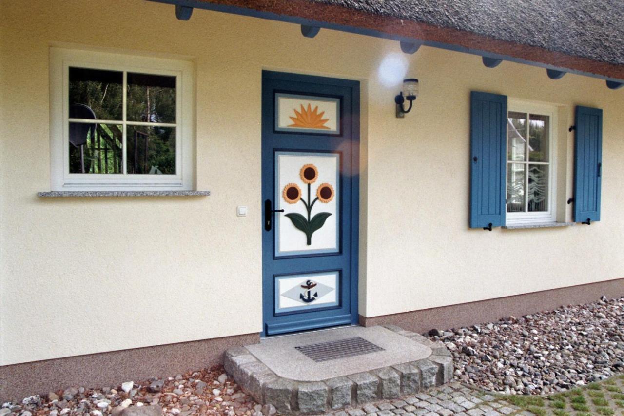 Ferienhaus Mine Sehnsucht Dierhagen Zewnętrze zdjęcie