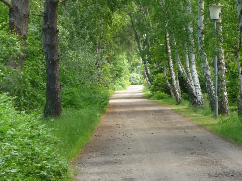 Ferienhaus Mine Sehnsucht Dierhagen Zewnętrze zdjęcie